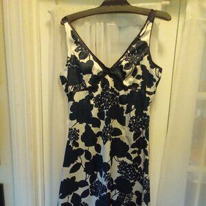 Arden B. Silk Lined Dress (M) NWT